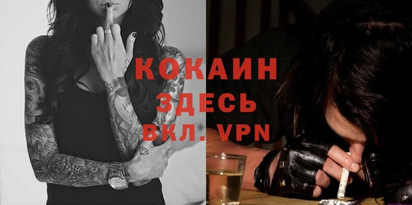 стафф Касимов