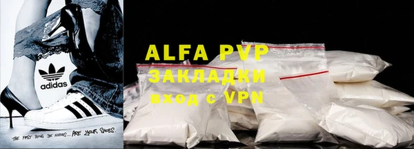 стафф Касимов