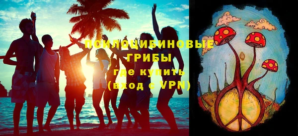 дурь Инсар