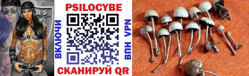 Псилоцибиновые грибы Psilocybe  нарко площадка официальный сайт  Кингисепп 