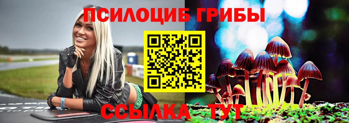 наркотики  Галлюциногенные грибы Psilocybe  Вход с VPN  Кингисепп 