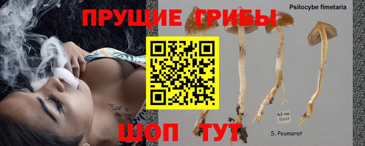 Псилоцибиновые грибы ЛСД Кингисепп